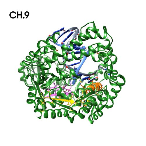 Chemie_motiv9.jpg Chemie_motiv9.jpg